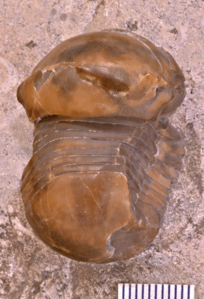 MPEP673-11 MPEP673-11