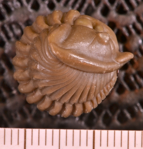 MPEP673-19 MPEP673-19