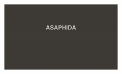 ASAPHIDA