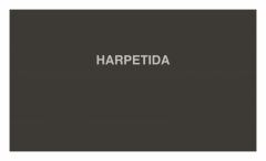 HARPETIDA