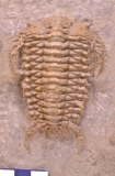 MPEP676-14