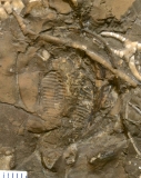 MPEP676-27a