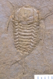 MPEP679-08