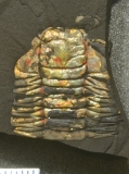 MPEP680-08
