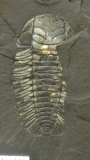MPEP680-11