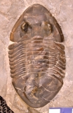 MPEP694-05