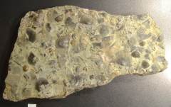 MPEP521-35