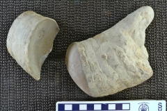 MPEP466-01