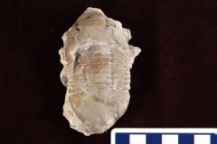 MPEP472-01