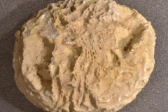 MPEP513-28