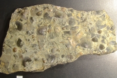 MPEP521-35