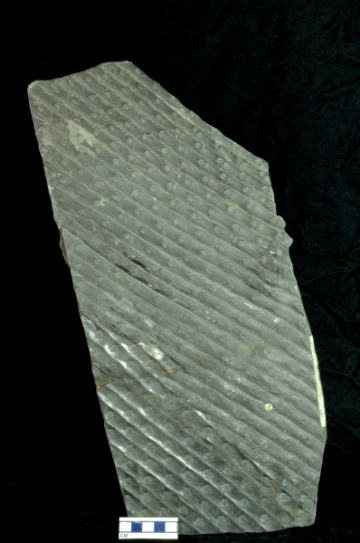 MPEP916.2