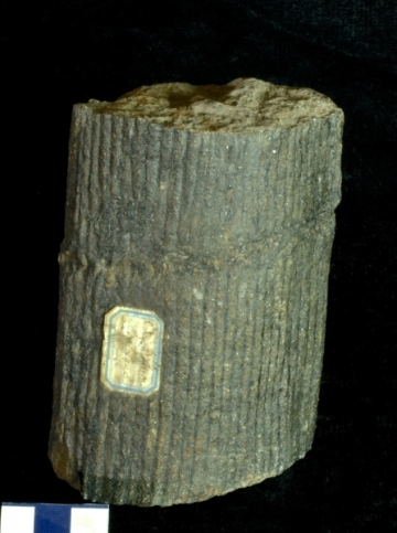 MPEP916.7