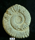 MPEP915.2