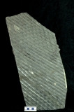 MPEP916.2
