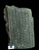 MPEP916.4