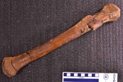MPEP593-01
