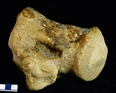 MPEP593-04