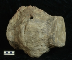 MPEP593.6