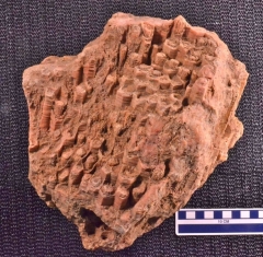 MPEP596-03