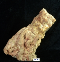 MPEP924-01