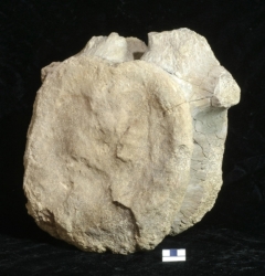MPEP963-01