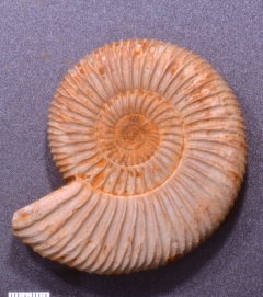 MPEP965-03