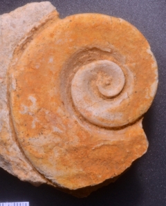 MPEP966-03