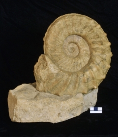 MPEP975-02