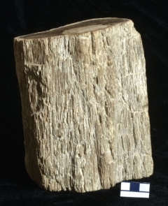 MPEP975-15