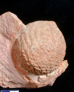 MPEP993-01