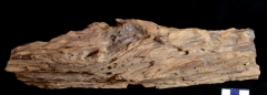 MPEP1001-01