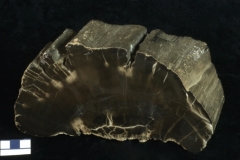 MPEP1006-02
