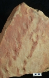 MPEP1006-05a