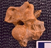 MPEP590-01