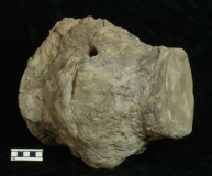 MPEP593.6