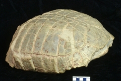 MPEP967-01