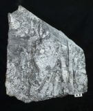 MPEP969-02