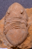 MPEP970-01