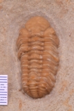 MPEP970-04