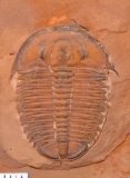 MPEP974-02
