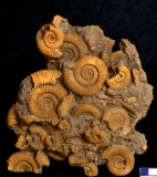 MPEP980-01