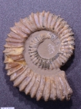MPEP980-02