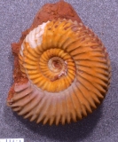 MPEP980-03