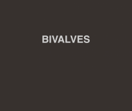 Bivalves