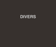 Divers