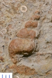 MPEP147-69