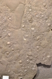 MPEP147-94