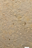 MPEP147-97