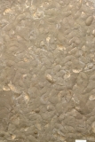 MPEP613-01